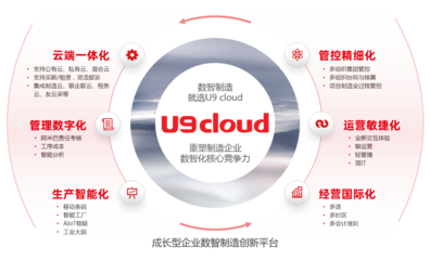 軟件產品的互聯網銷售 策略、優勢與挑戰